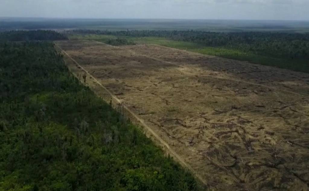 Indígenas fazem em SP ato em defesa da Amazônia e de biomas