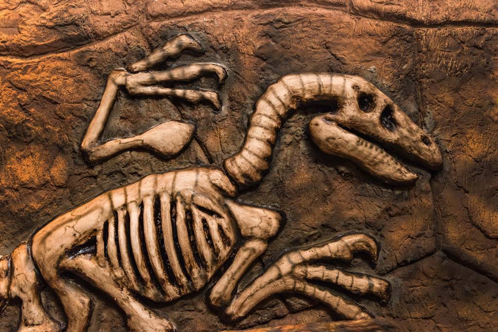 Vale dos Dinossauros Vale dos Dinossauros