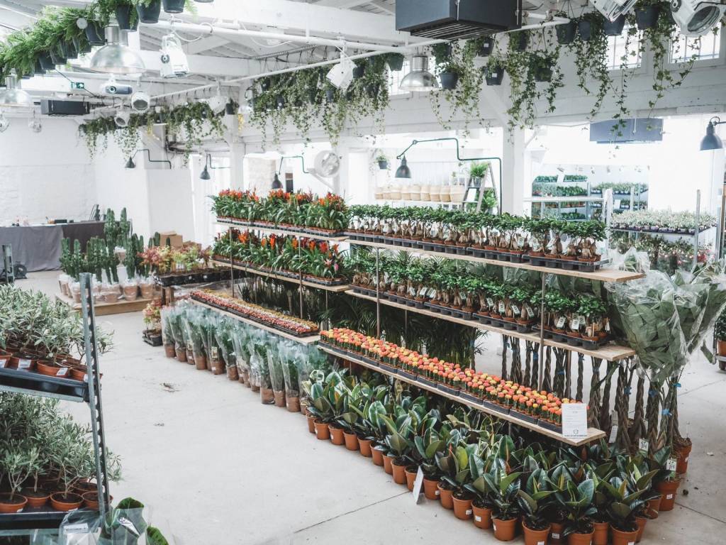 Jardim efêmero: Vila Madalena recebe feira de plantas