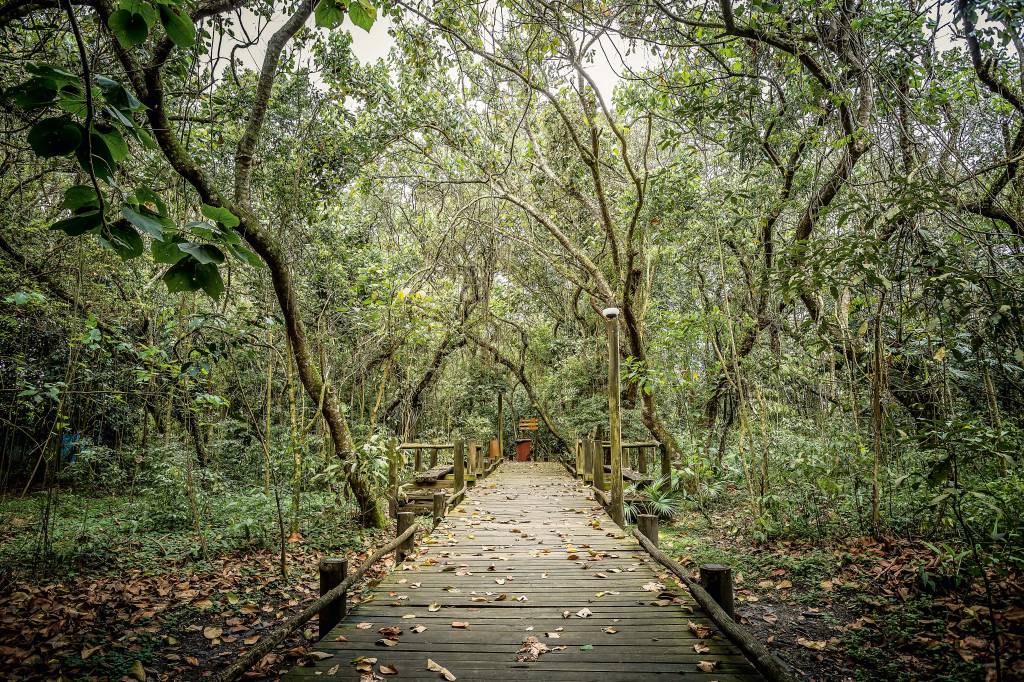 Parque Ecológico do Guarapiranga Parque Ecológico do Guarapiranga
