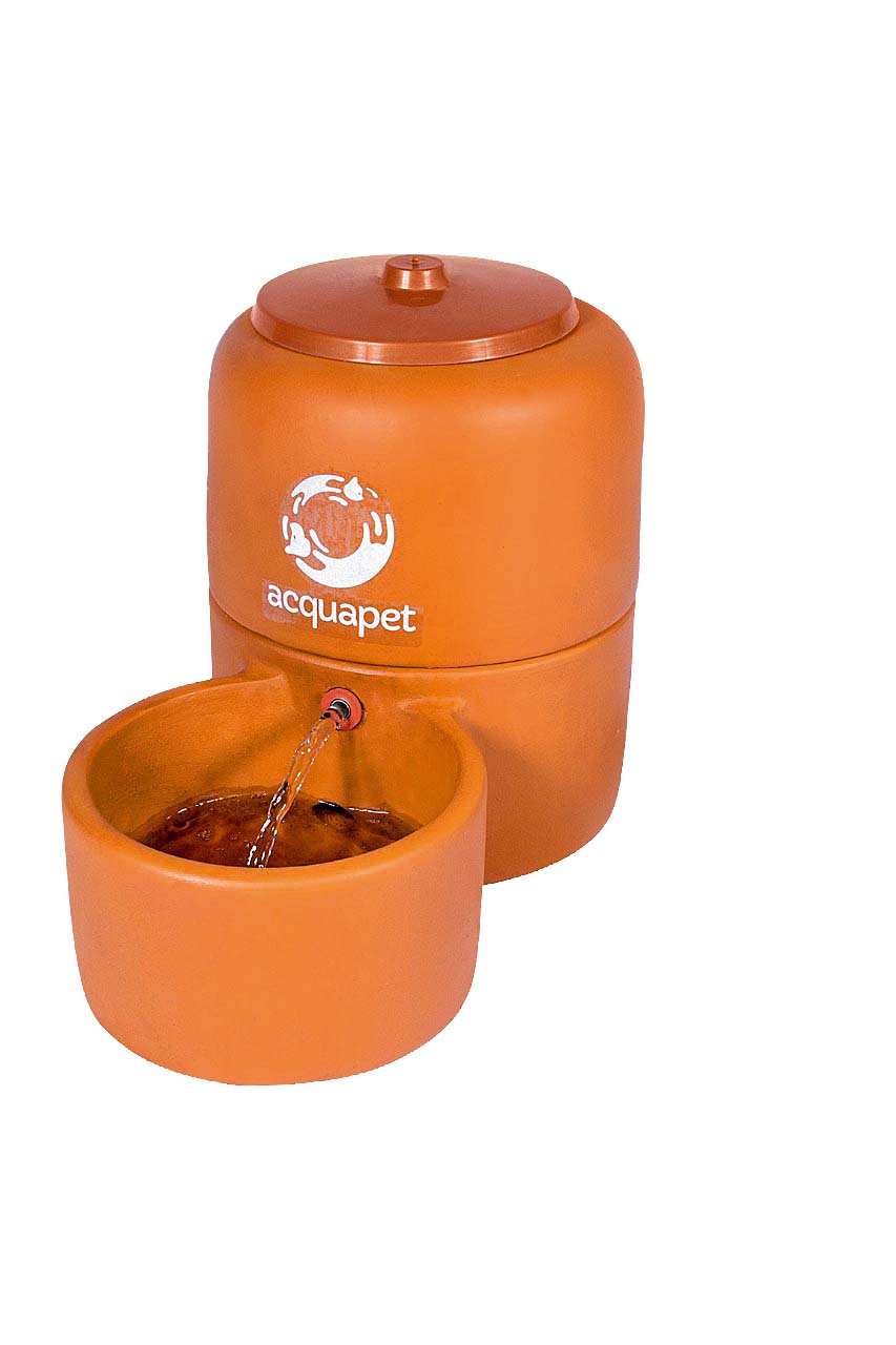 Loja vende filtros de barro para os pets