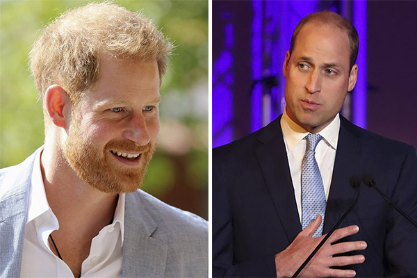 Harry diz que ele e irmão têm caminhos diferentes e cresce boato de briga