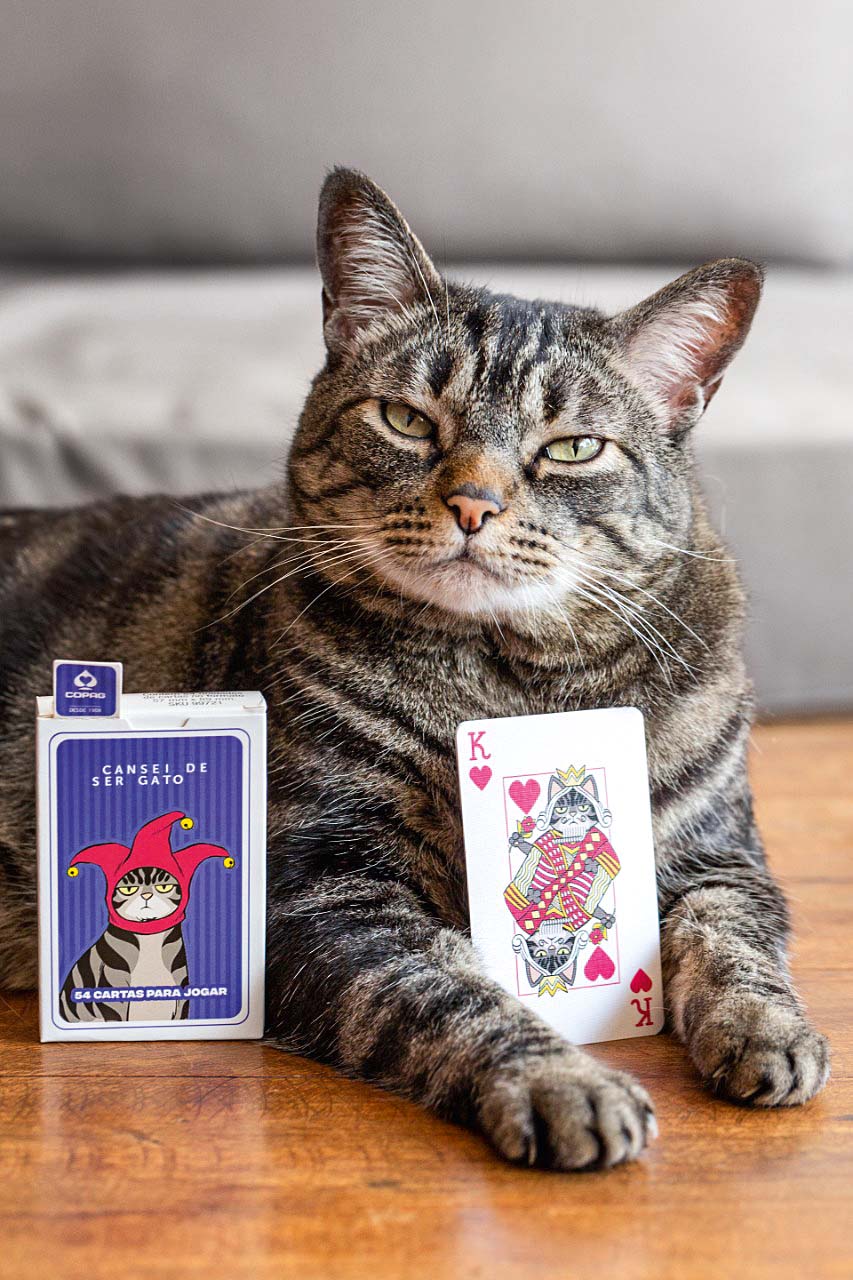 Página do Instagram Cansei de Ser Gato lança baralho temático