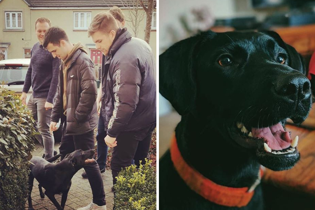 Jovens são surpreendidos após pedido para brincar com cachorro do vizinho