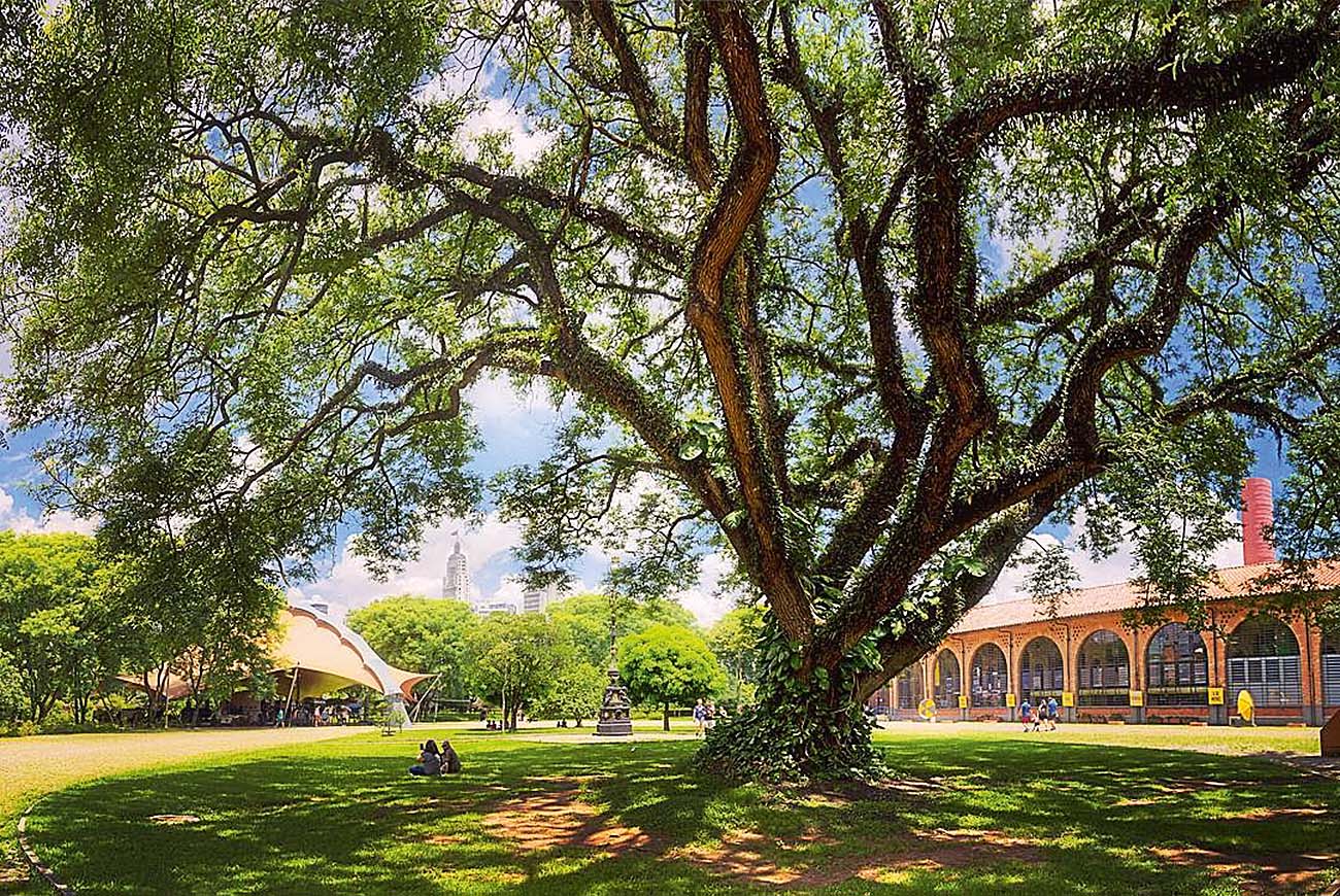 museu catavento@edvirtua
