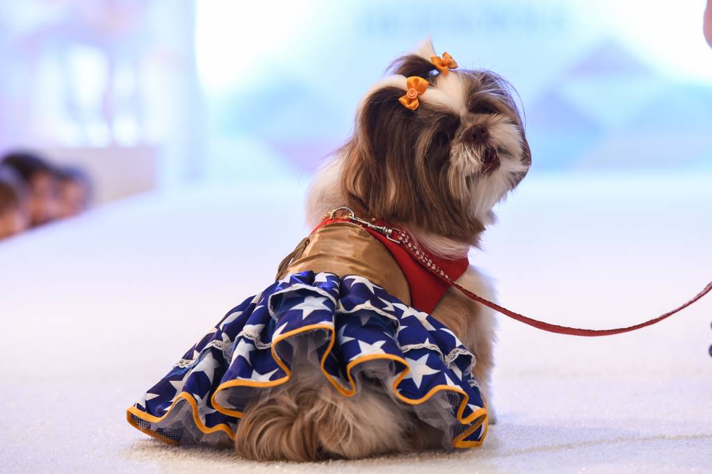 Pátio Higienópolis promove evento sobre pets durante o Carnaval