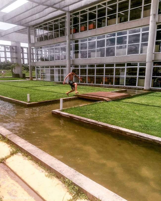 materia instagram leitores materia instagram leitores