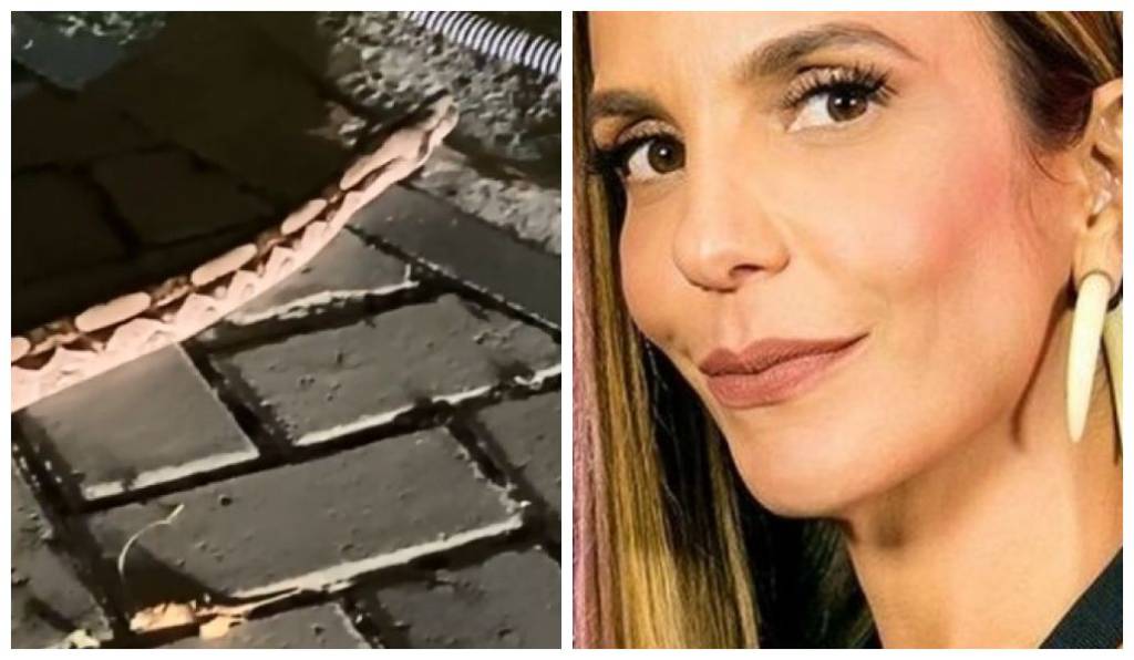 Ivete Sangalo encontra cobra gigante em casa