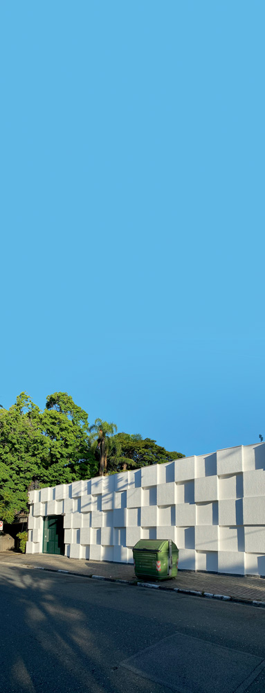 Em lotes da Crefisa, árvores são derrubadas sem registro de permissão