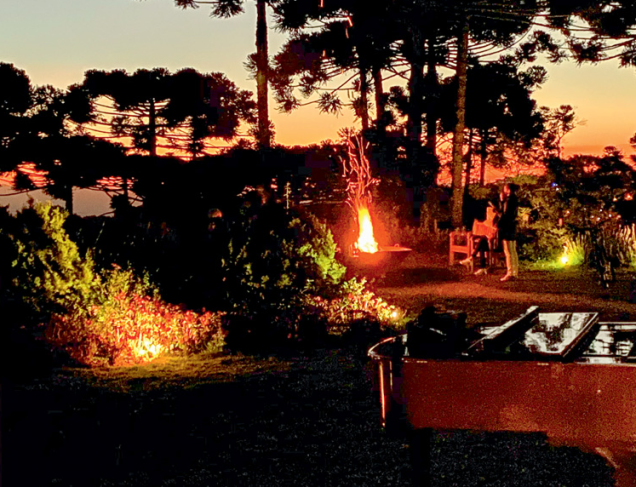 Charutaria e restaurante modernos em meio à natureza: reserva de charme Charutaria e restaurante modernos em meio à natureza: reserva de charme