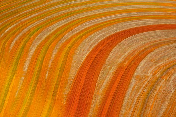 Onde comprar obras de arte on-line?