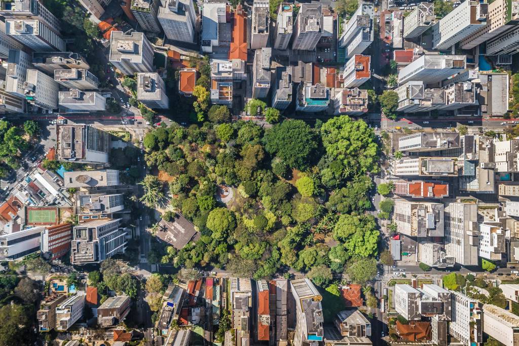 Quão verde é o seu bairro? Mapa mostra áreas mais e menos arborizadas na capital