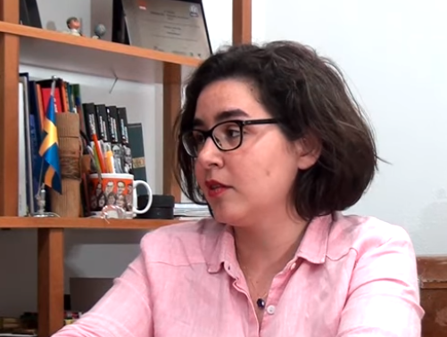 Fernanda Diamant não é mais curadora da Flip