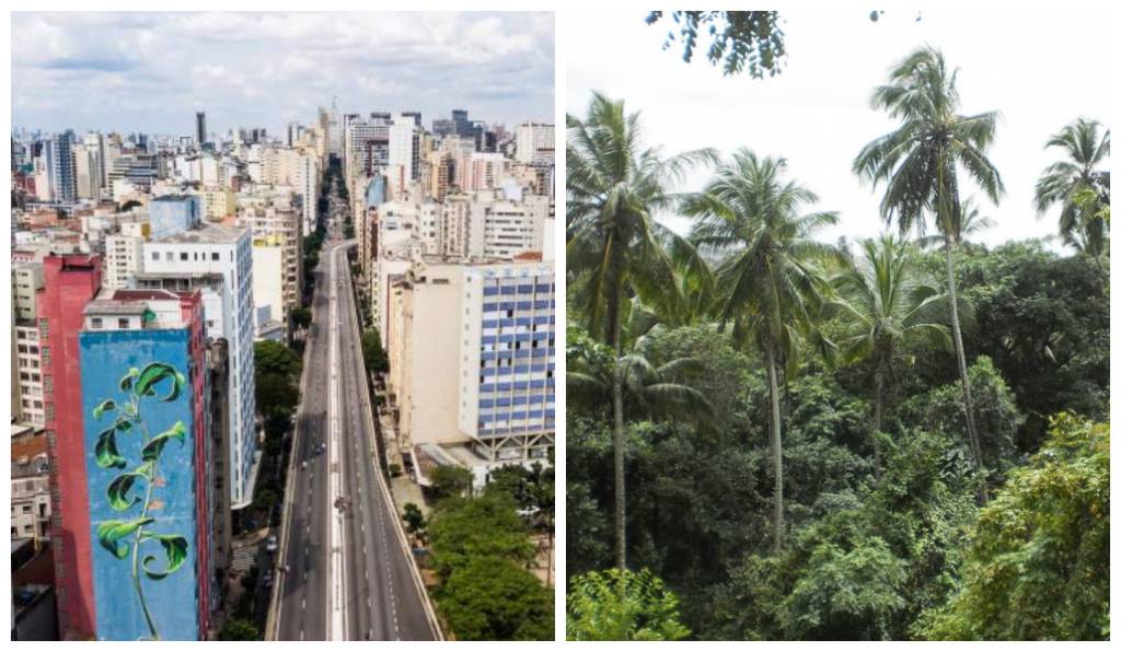 Minhocão vira floresta artificial pelas mãos de Felipe Morozini