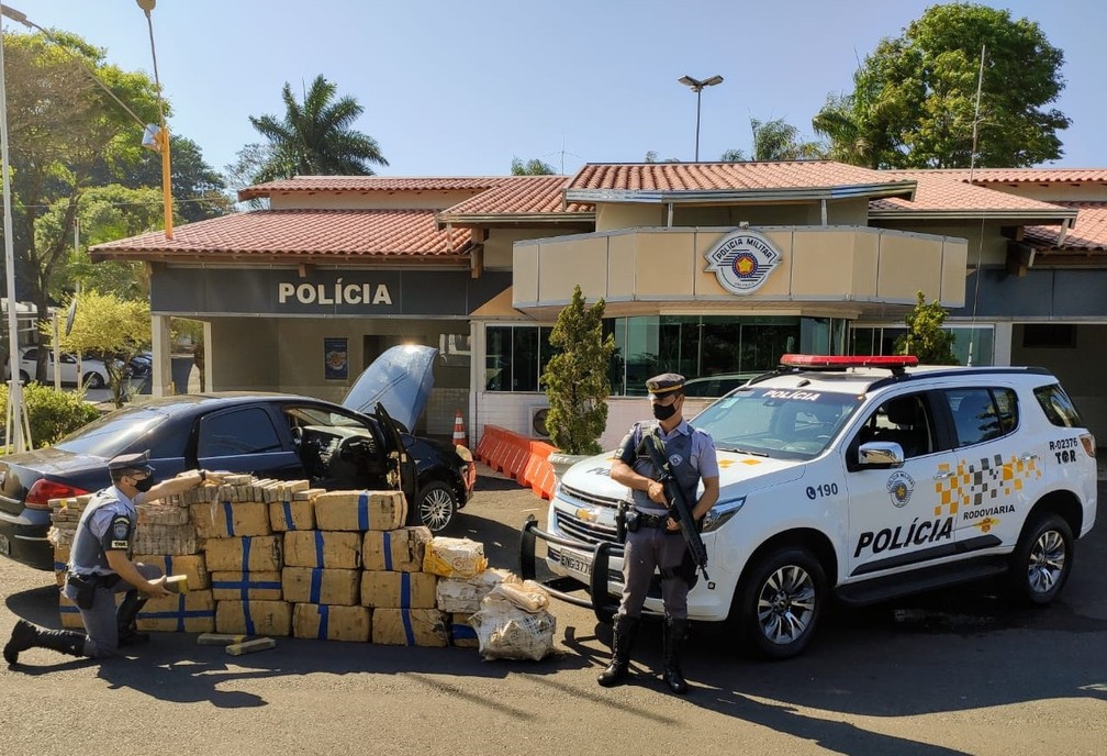 São Paulo tem recorde de apreensões de maconha durante a pandemia