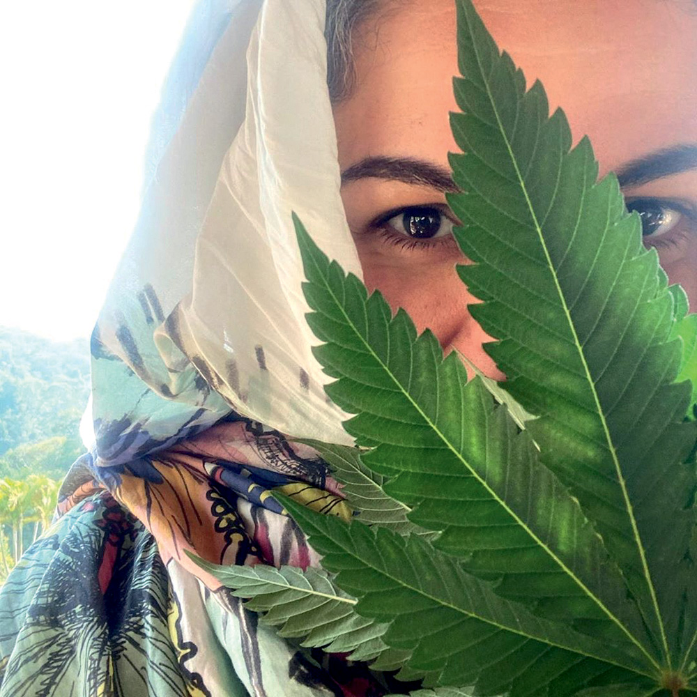 “Vale mais plantar maconha no mato”, defende especialista em cannabis