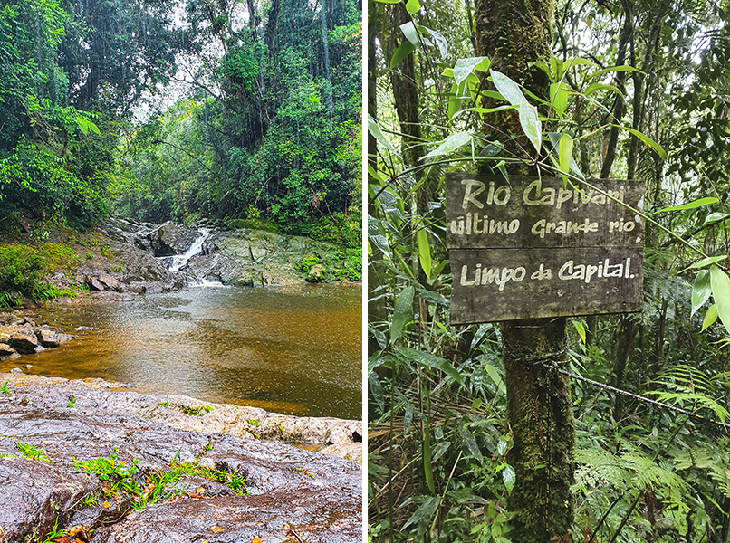 Selva paulistana: conheça o passeio por uma cachoeira da Zona Sul