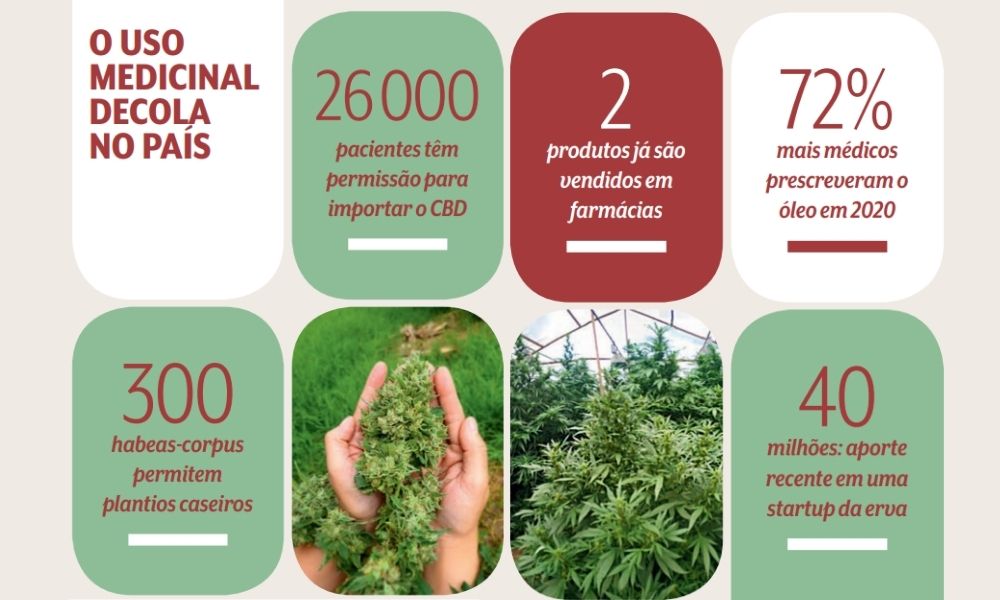 Montagem capa cannabis 2 Boxs com as seguintes informações: 26 000 pacientes têm permissão para importar o CBD; 300 habeas-corpus permitem plantios caseiros; 2 produtos já são vendidos em farmácias; 72% mais médicos prescreveram o óleo em 2020; 40 milhões: aporte recente em uma startup da erva