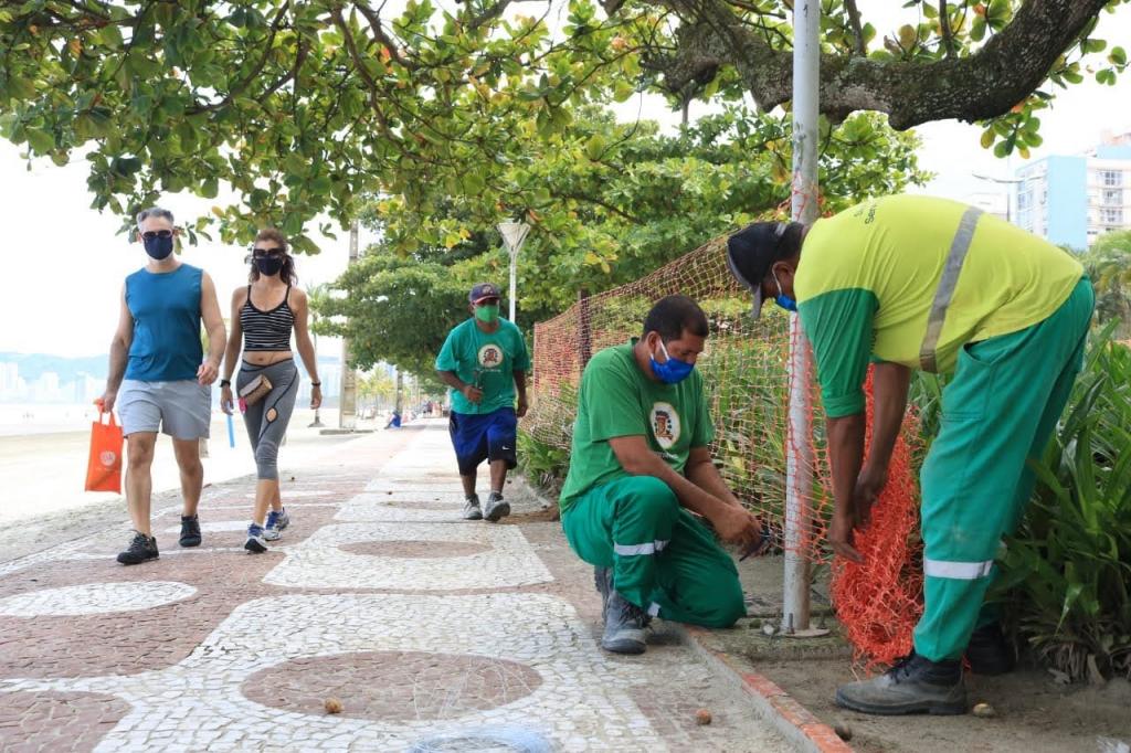 Imagem mostra funcionários da prefeitura de Santos colocando grade flexível antes do acesso de uma praia da cidade