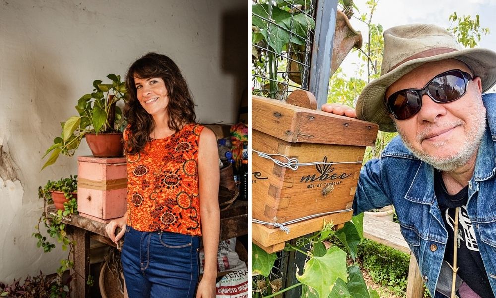 Paulistanos criam abelhas sem ferrão como animais de estimação