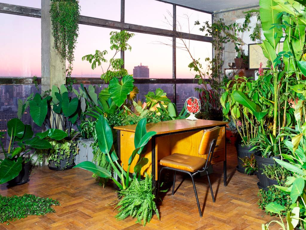 andar 43 mirante do vale Imagem mostra móveis de escritório rodeados de plantas