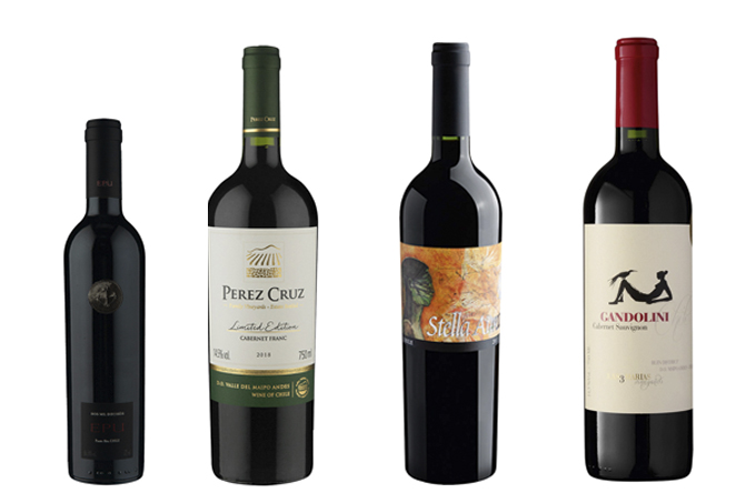 Vale do Maipo: conheça a região mais emblemática de vinhos chilenos