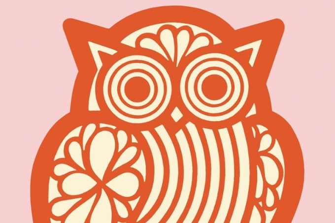 arte de coruja laranja com traços finos e grossos. o fundo é rosa