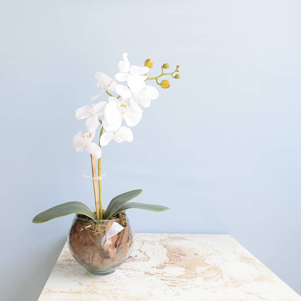 arranjo orquidea Em uma mesinha de cerâmica está um vaso artificial com uma orquídea. Parede de fundo é azul bebê