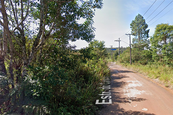 Imagem mostra estrada de terra com muita mata ao redor