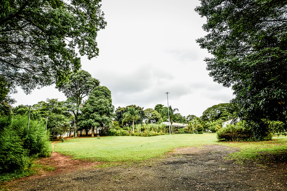 São Paulo 07 janeiro 2022Foto Alexandre Battibugli VSP Imagem mostra gramado sob céu nublado.