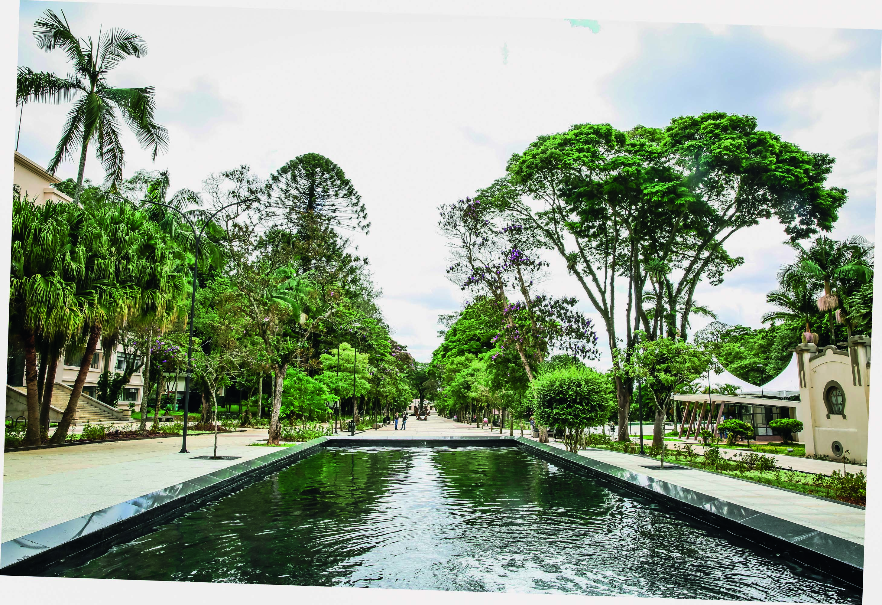 Imagem mostra espelho d'&aacute;gua entre corredor de &aacute;rvores.