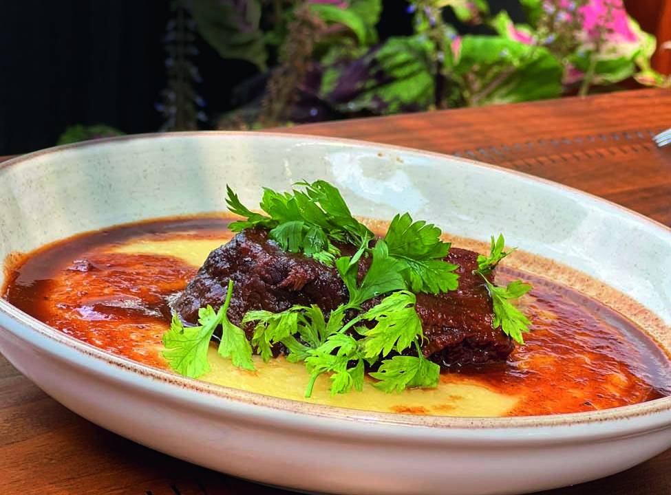Sobre mesa de madeira, prato raso de louça branca serve maminha e purê