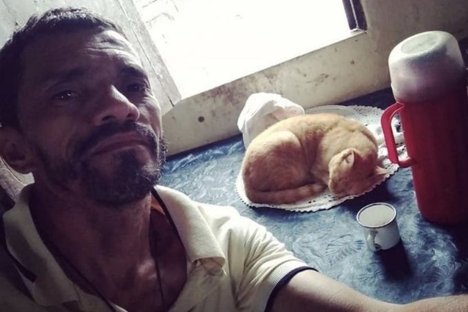 Januário, gato confundido com bolo, morre no Ceará