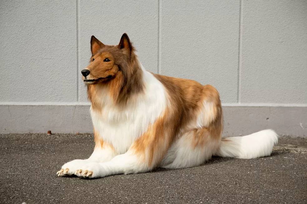 Japonês usa fantasia ultrarrealista de cão e faz sucesso na internet