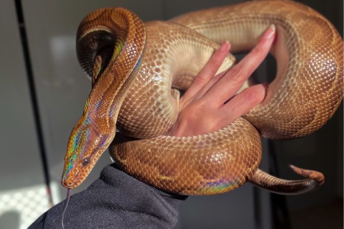 Design sem nome (17)