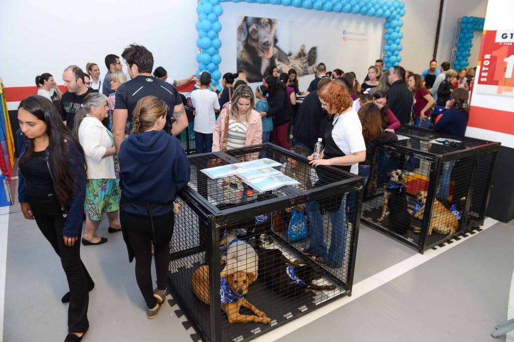 Shopping Anália Franco terá feira de adoção de animais neste sábado