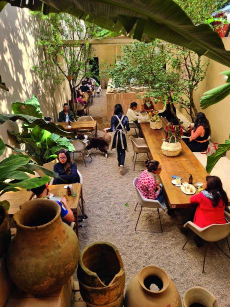 Dois Trópicos: refúgio de tranquilidade em Pinheiros Dois Trópicos: refúgio de tranquilidade em Pinheiros