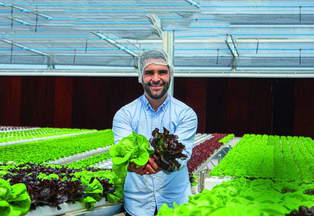 Plaza Sul Shopping terá fazenda urbana de 700 metros quadrados