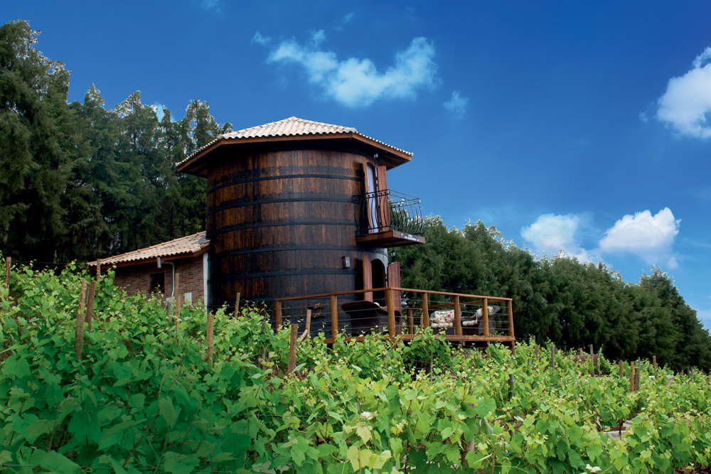 Quinta do Olivardo (Elias Gomes Fotografia-Divulgação).jpg Chalé em formato de tonel de vinho aparece em meio a parreiral com céu azul de fundo.