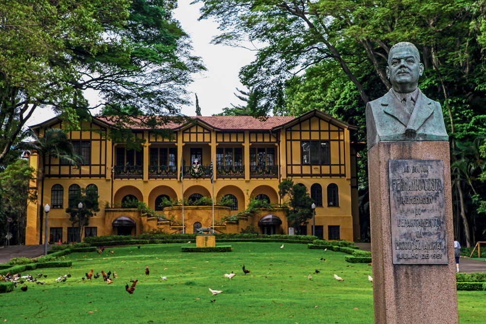 Dezembro 2012 – Parque Água Branca – São Paulo. Foto: Murillo Costantino Parque Água Branca