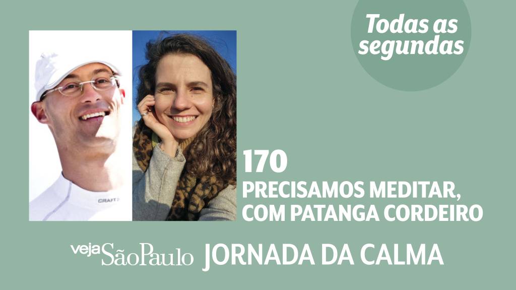 Precisamos meditar, com Patanga Cordeiro