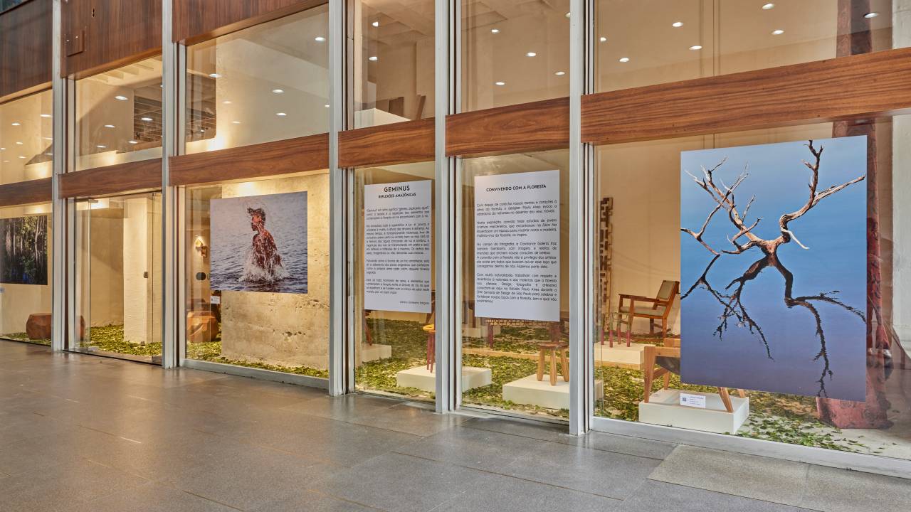 Geminus – Reflexões Amazônicas, de Adriano Gambarini