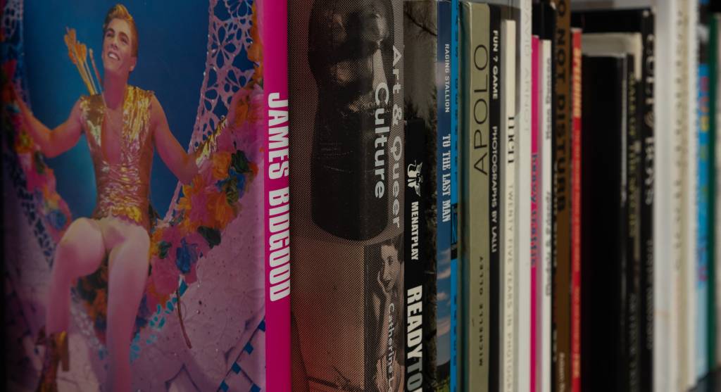 Biblioteca de Arte Homoerótica Hermano Almeida (LEO MARTINS-VEJASP) (3) Foto exibe detalhes da lombada de vários livros, um deles rosa.