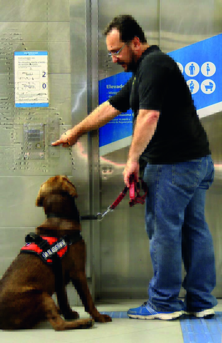 Olivares em treinamento com cão de assistência. Olivares em treinamento com cão de assistência.