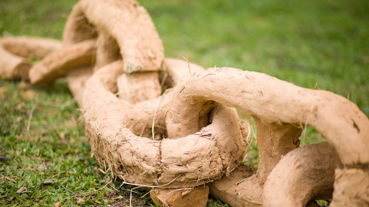 Cobra Grande (2022), de Frederico Filippi, no Jardim de Esculturas do MAM