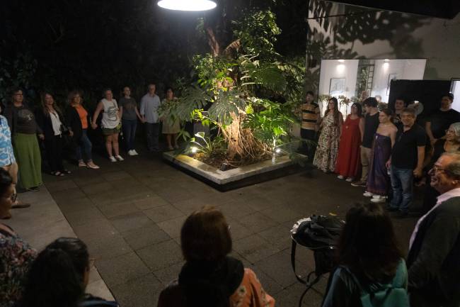 Pessoas dão as mãos em volta da árvore do Café Fellini, na Augusta