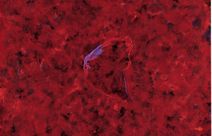 Exposição no MAM-SP traz recorte da arte abstrata brasileira