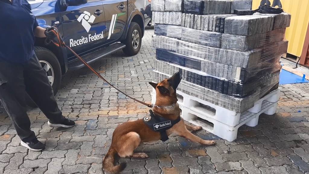 Receita Federal apreende mais de uma tonelada de cocaína em Santos