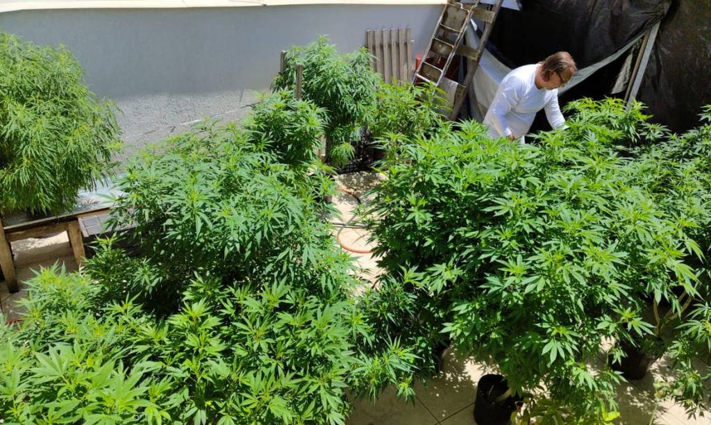 Marcha da Maconha acontece em São Paulo neste sábado