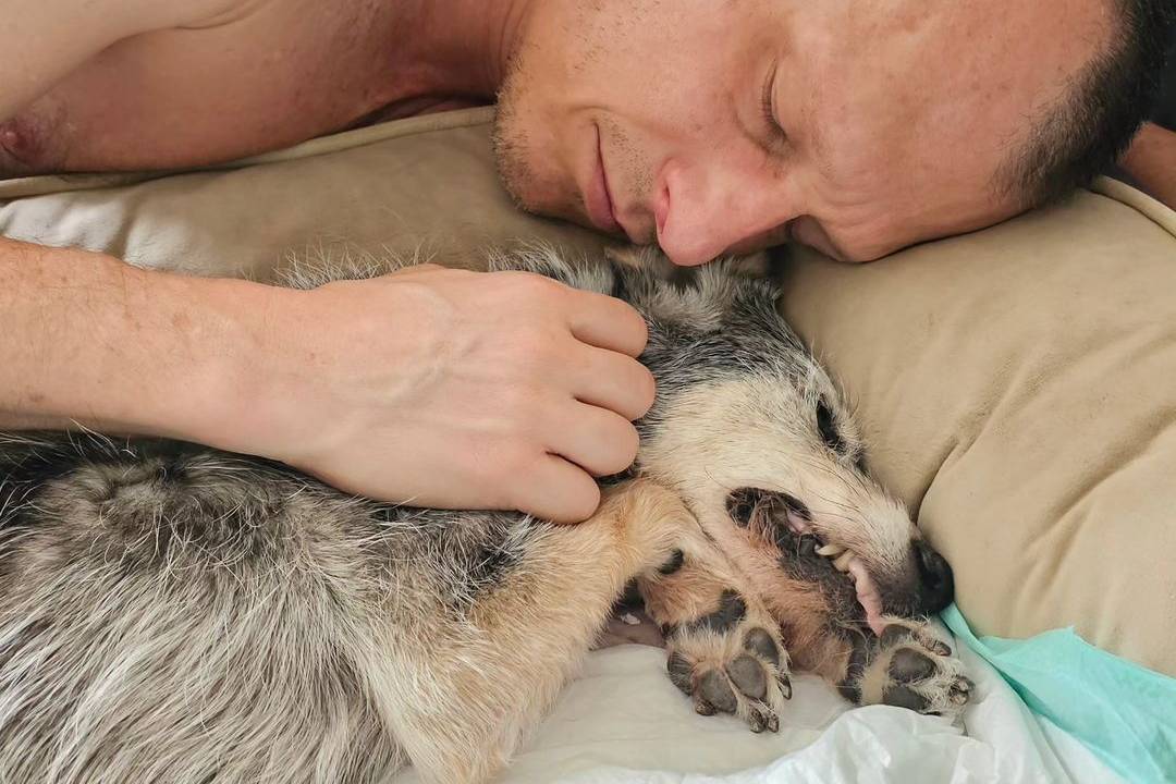 a imagem mostra alexandre rossi, um homem branco e sem camisa, abraçado a estopinha, uma cachorrinha com pelos de cores misturadas